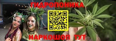 соль ск Дубна