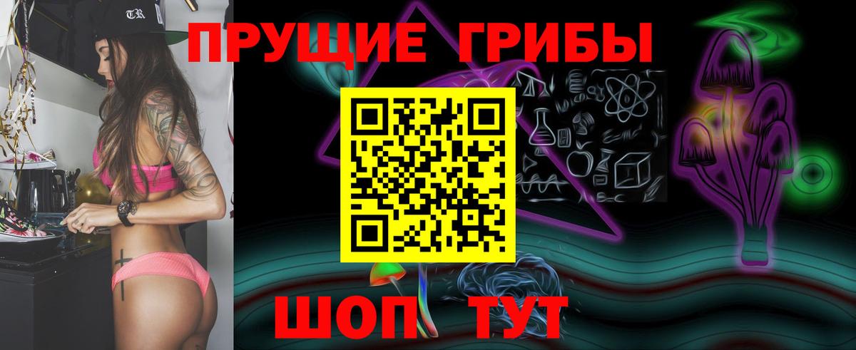 купить наркотики сайты  Псилоцибиновые грибы ЛСД  Вход с VPN  Минеральные Воды 